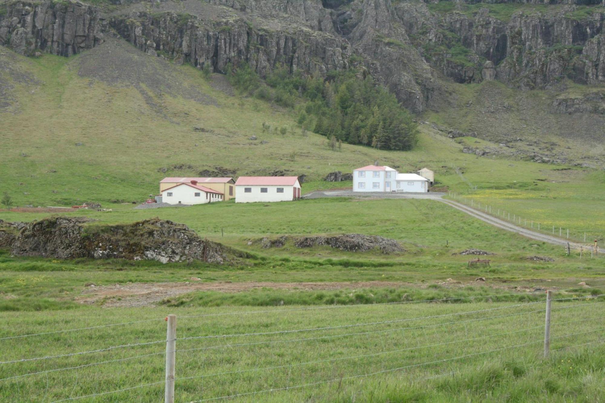 Guesthouse Stekkatun Skalafell Екстер'єр фото